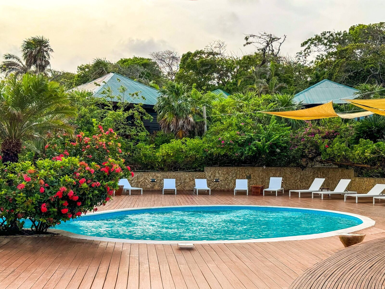 Tropical resort pool with wooden deck, lounge chairs, and lush greenery